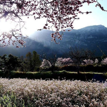Podiumberg Otel Quatretondeta Dış mekan fotoğraf