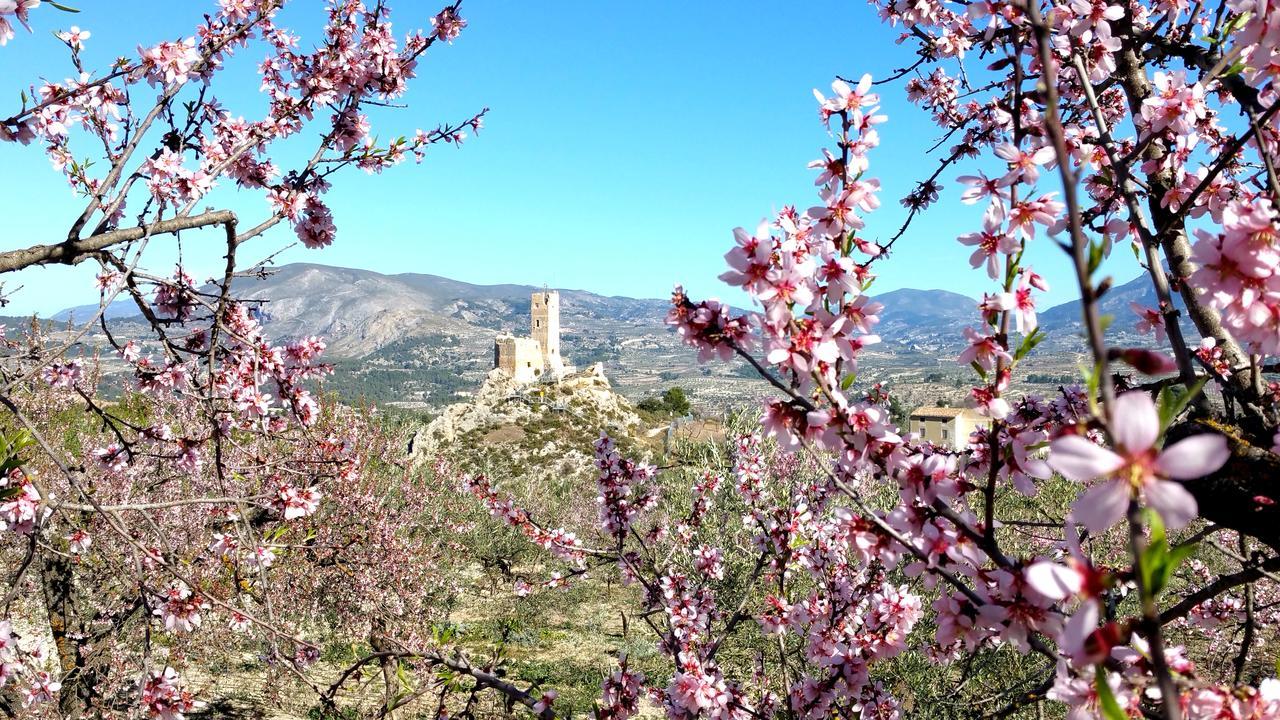 Podiumberg Otel Quatretondeta Dış mekan fotoğraf