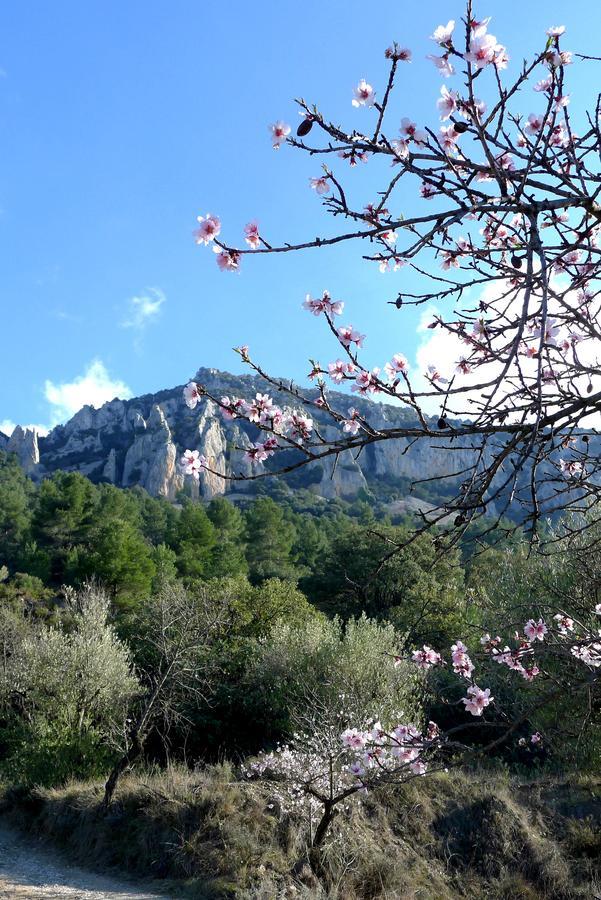 Podiumberg Otel Quatretondeta Dış mekan fotoğraf