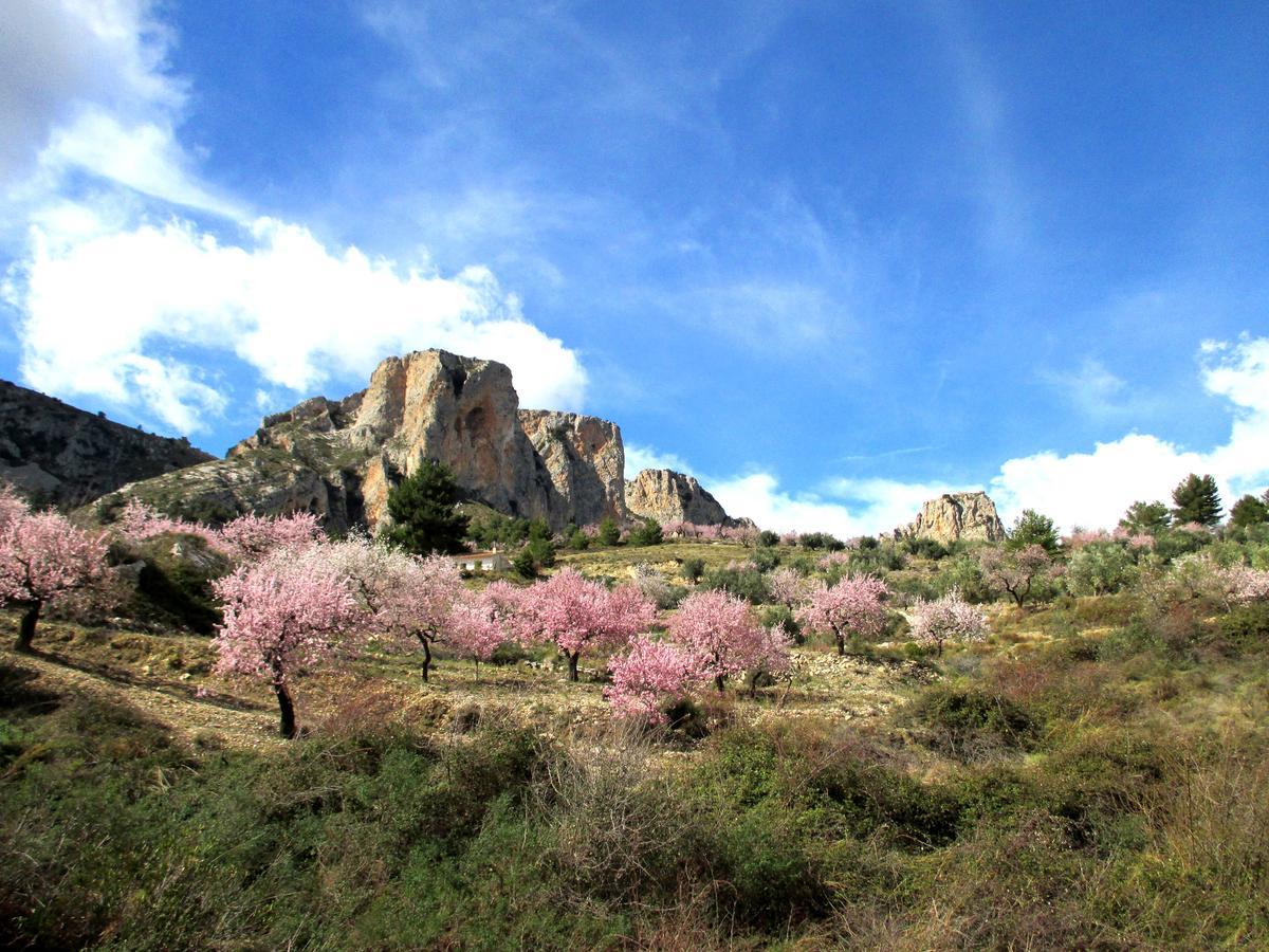 Podiumberg Otel Quatretondeta Dış mekan fotoğraf
